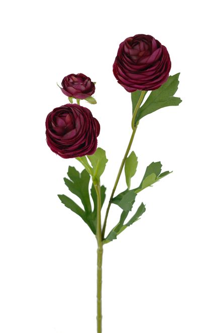 Ranunculus Spray 42cm