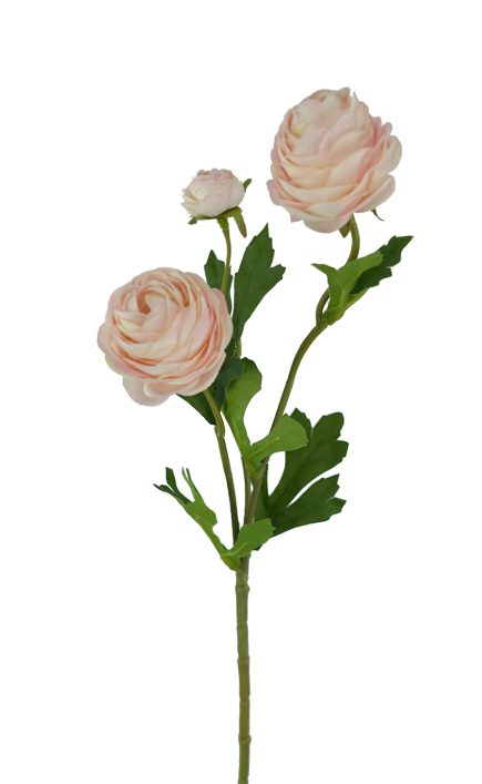 Ranunculus Spray 42cm