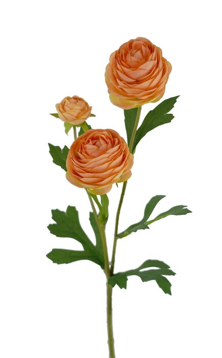 Ranunculus Spray 42cm