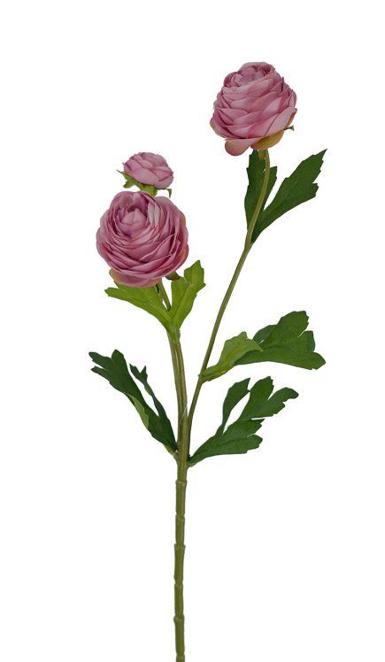 Ranunculus Spray 42cm