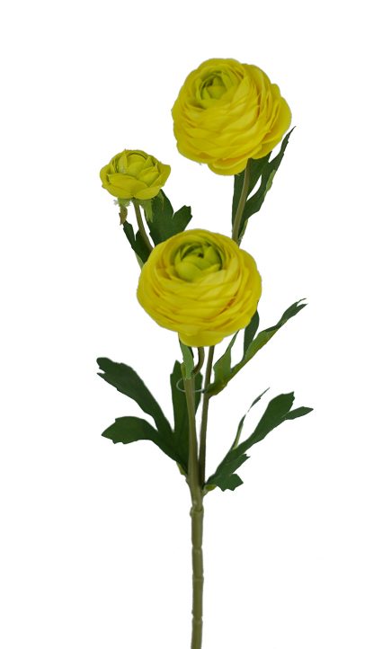 Ranunculus Spray 42cm