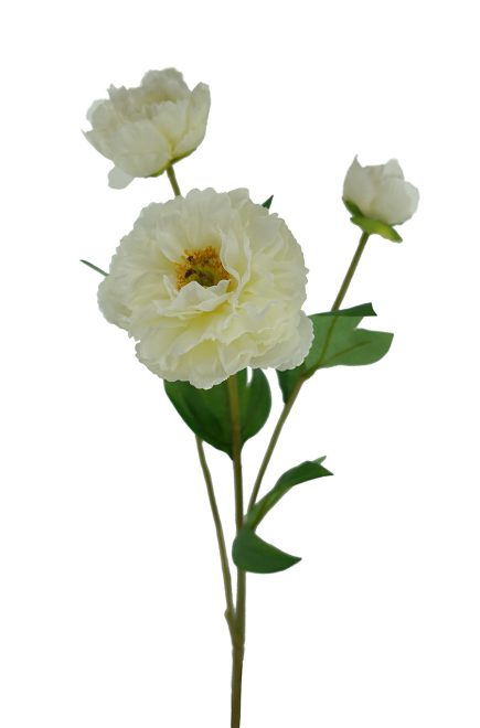 3H Peony 53cm