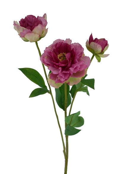 3H Peony 53cm