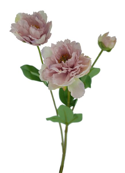 3H Peony 53cm