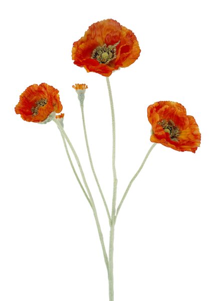 Autumn Poppy Spray 67cm