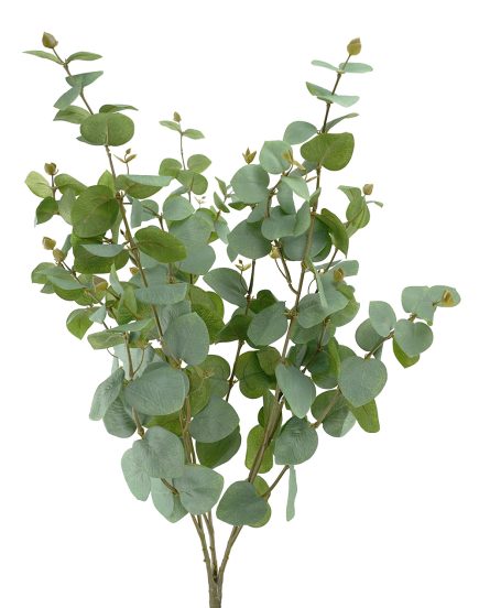 Money Leaves Bush  76cm