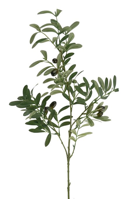 Olive Spray 90cm