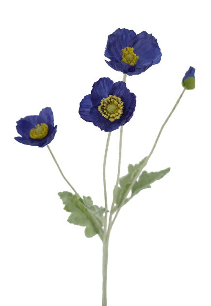 4H Poppy Stem 60CM