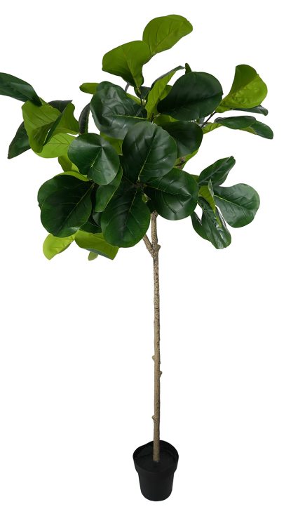 Fiddle Tree Ball 180cm