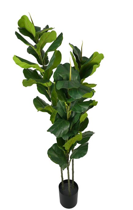 Fiddle Tree 3S 145cm