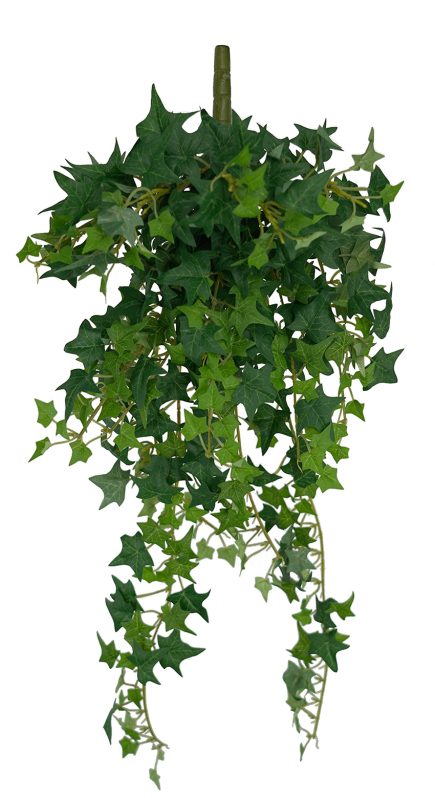 Mini Ivy Hanging Bush 68cm