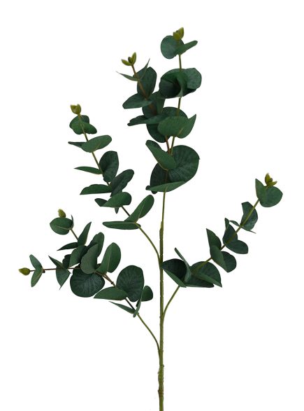 Eucalyptus Stem 88cm
