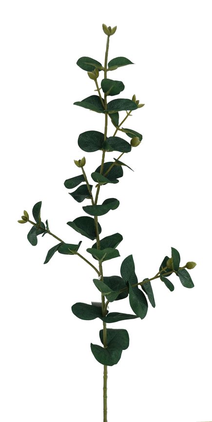 Eucalyptus Stem 70cm