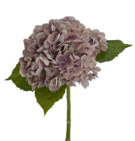 RT Hydrangea Stem 51cm