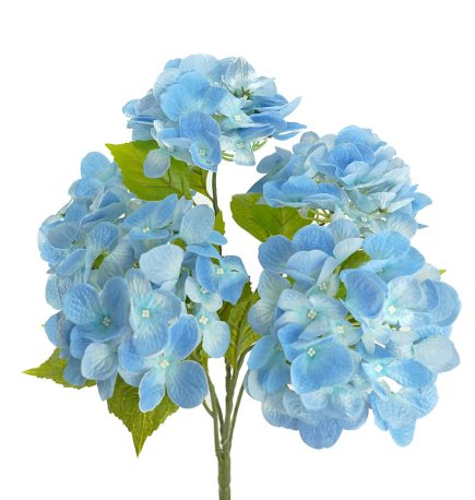 RT Hydrangea Bush 50cm