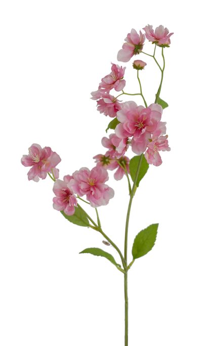 Peach Blossom Spray 72cm