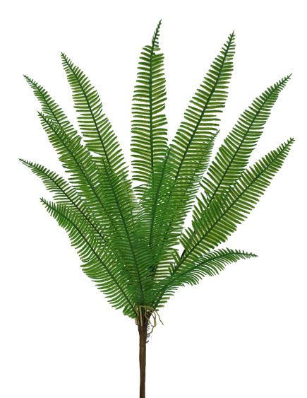 Feather Fern Bush 48cm