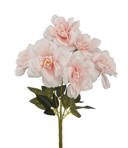 Begonia Roses Bush 80cm