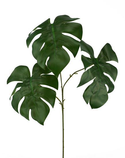 Monstera Spray  64cm