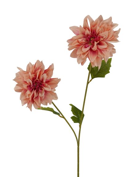 Dhalia Spray  70cm