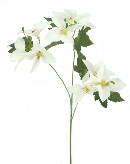 Japonica Spray  72cm