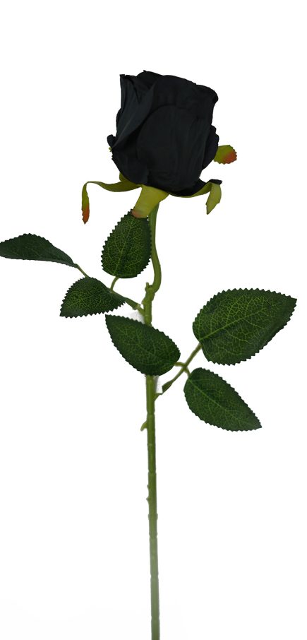 Valentine Rose Stem 52cm