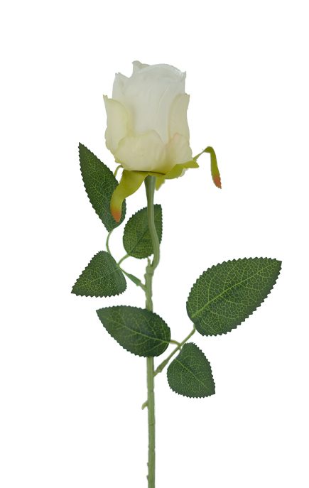 Valentine Rose Stem 52cm