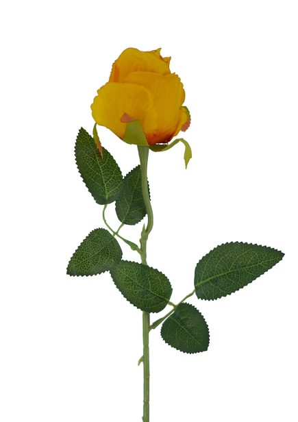 Valentine Rose Stem 52cm