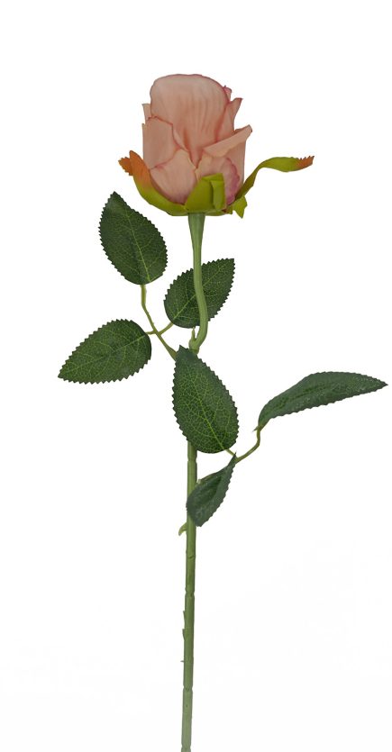 Valentine Rose Stem 52cm