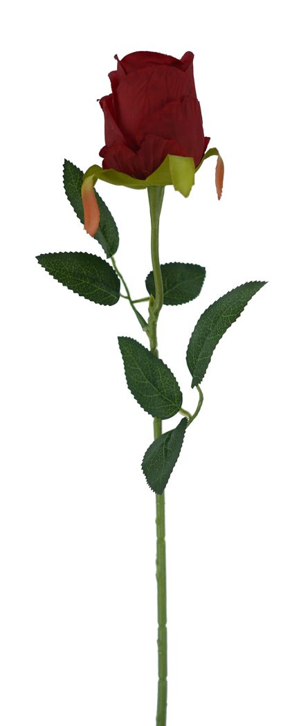 Valentine Rose Stem 52cm