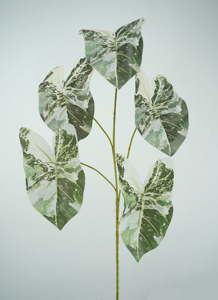 Philodendron Spray  67cm