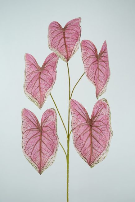 Philodendron Spray  67cm