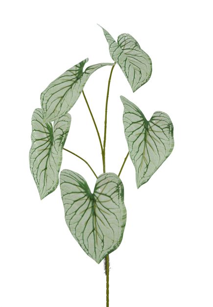 Philodendron Spray  67cm