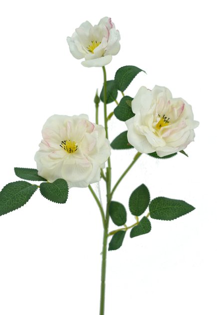 RT 3H Rose Spray  52cm