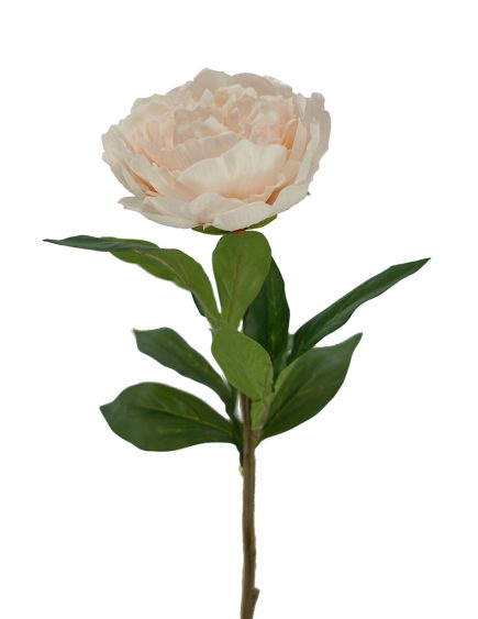 RT Peony Stem 65cm