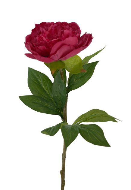 RT Peony Stem 65cm