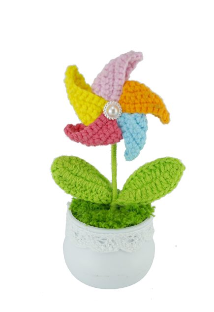 Potted Windfan 14cm