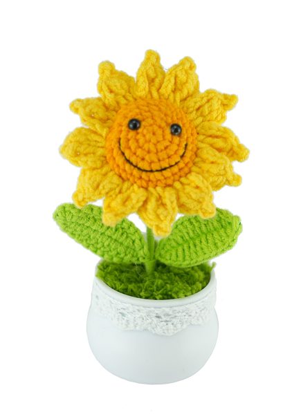 Potted Smilling Sunflower 14cm