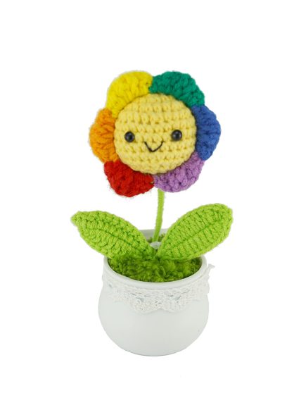 Potted Smilling Daisy