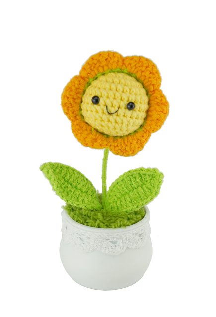 Potted Smilling Daisy 14cm