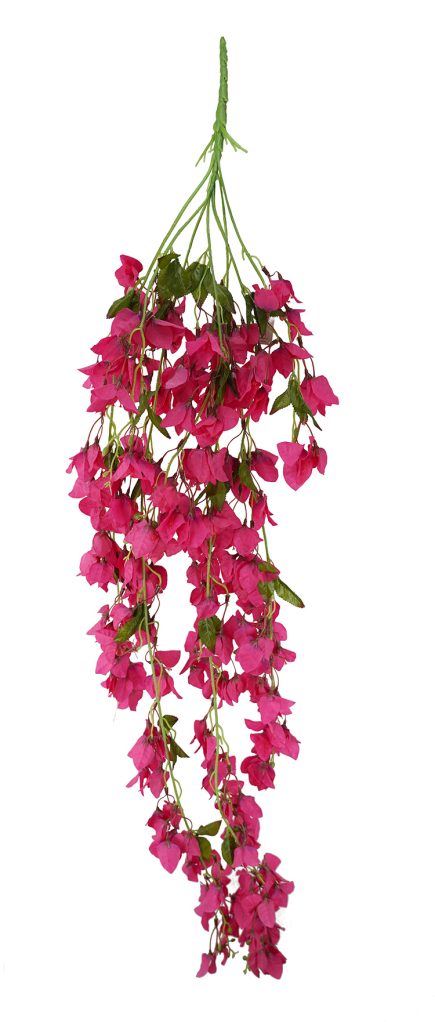 Bougainvillea Hanging Bush 126cm