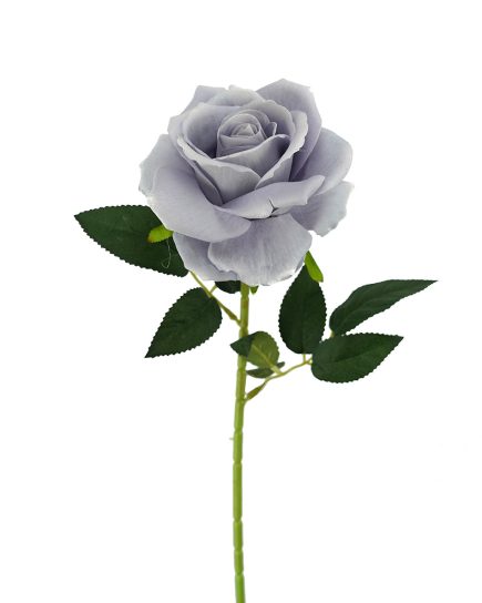 Velvet Rose 11L/54cm