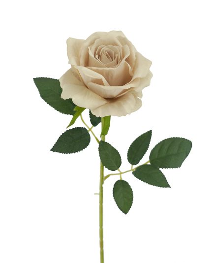 Velvet Rose 11L/54cm