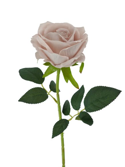 Velvet Rose 11L/54cm