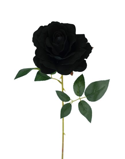 Lady Velvet Rose Stem 54cm