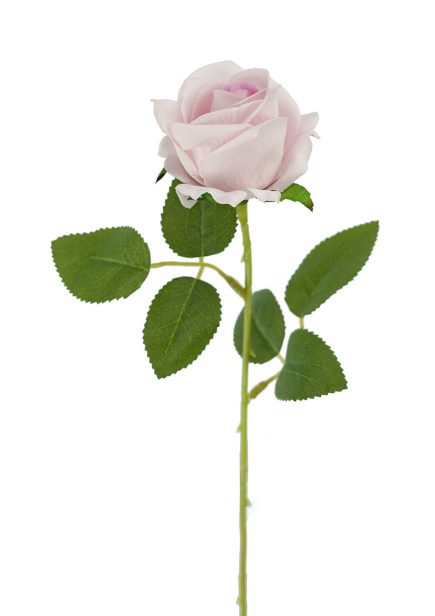 Mini Velvet Rose 51cm