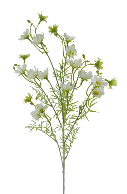 Mini Cosmos Spray 70cm