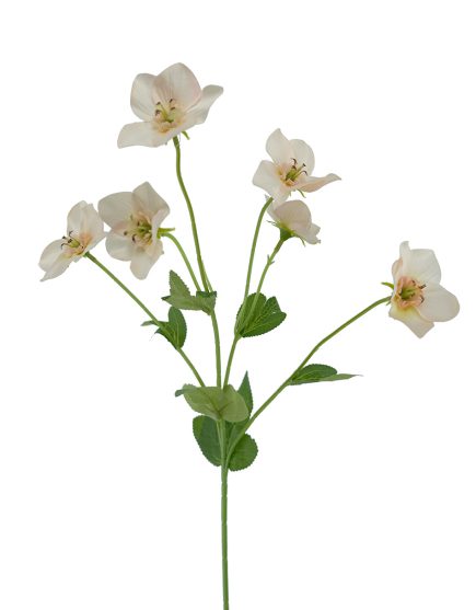 Hellebore Spray 60cm