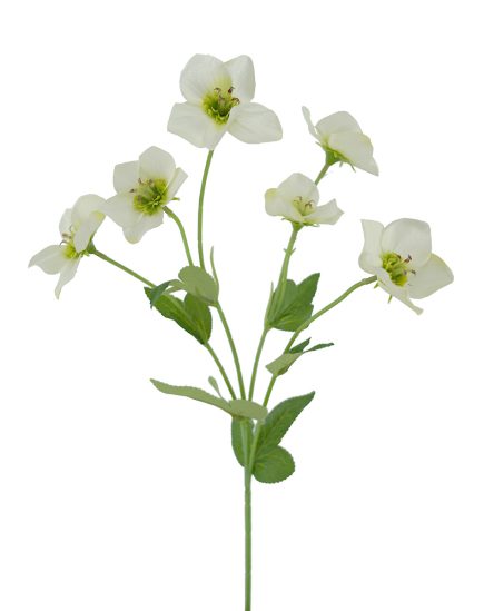 Hellebore Spray 60cm