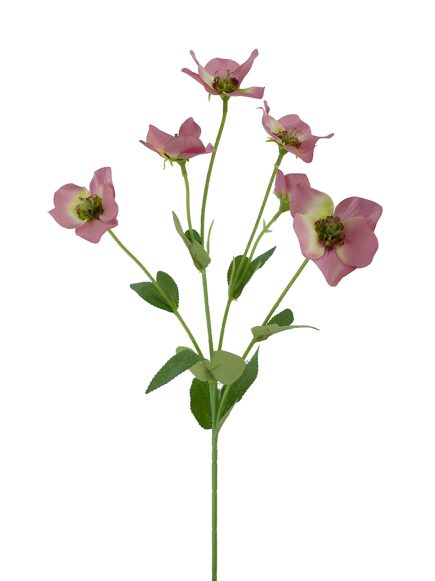 Hellebore Spray 60cm